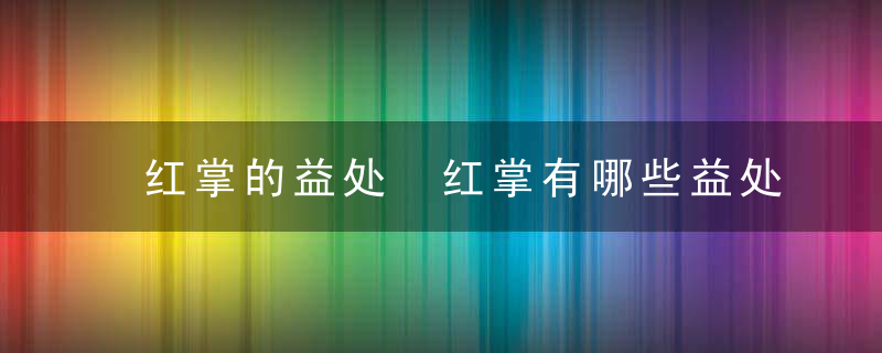 红掌的益处 红掌有哪些益处与作用呢